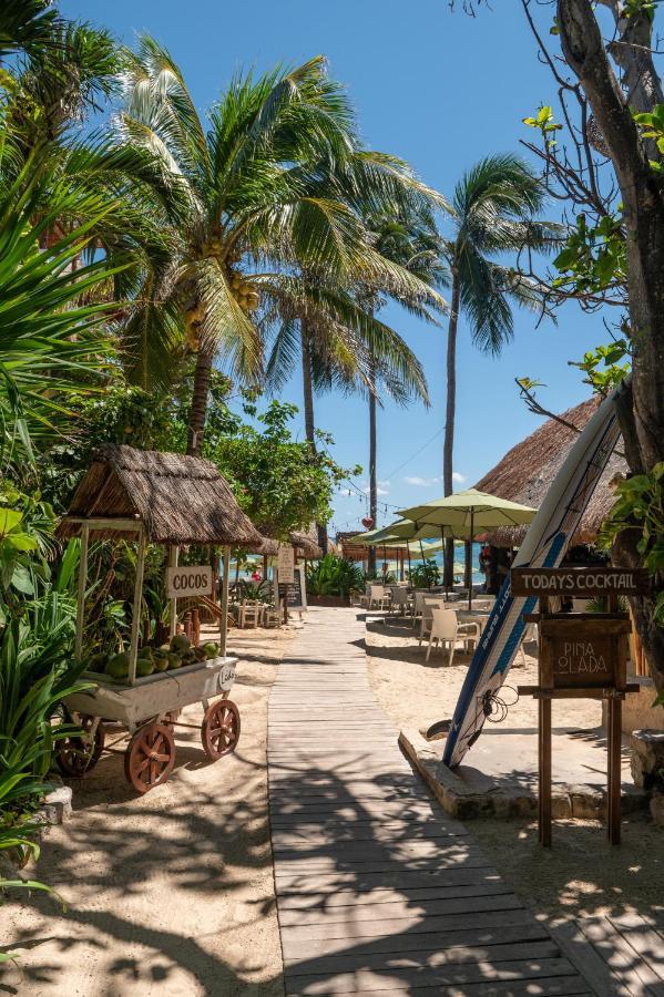 Hotel Casa Colibri Playa del Carmen Dış mekan fotoğraf