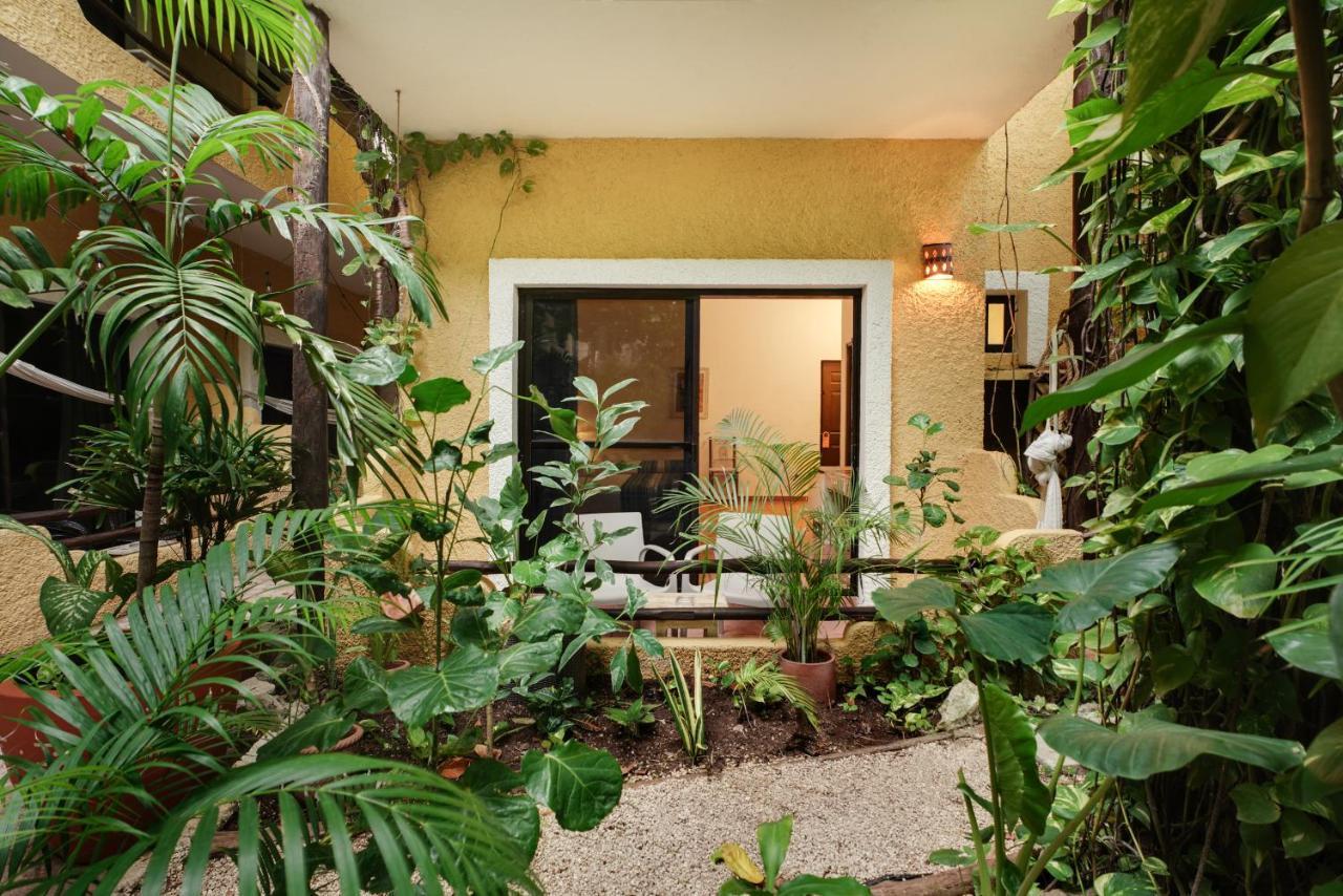 Hotel Casa Colibri Playa del Carmen Dış mekan fotoğraf