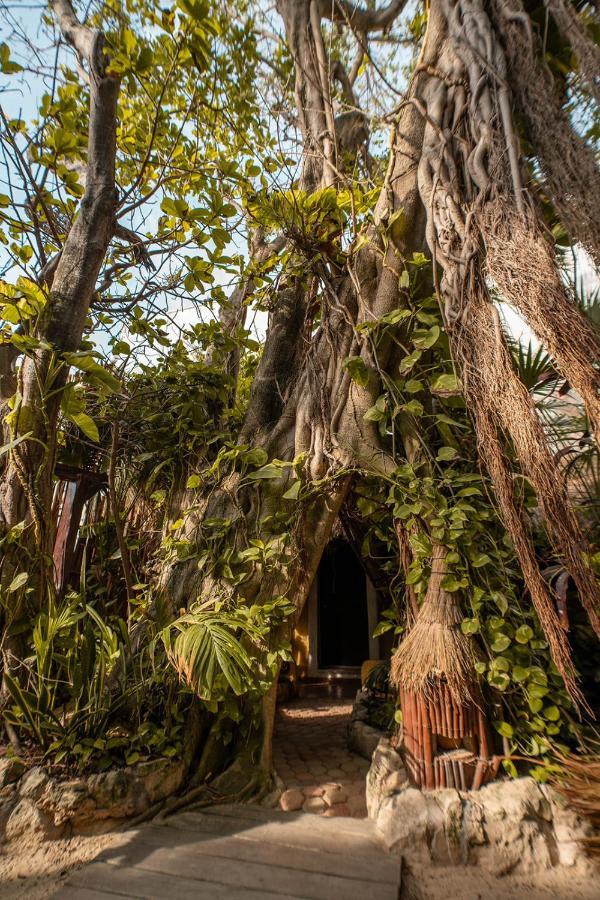 Hotel Casa Colibri Playa del Carmen Dış mekan fotoğraf
