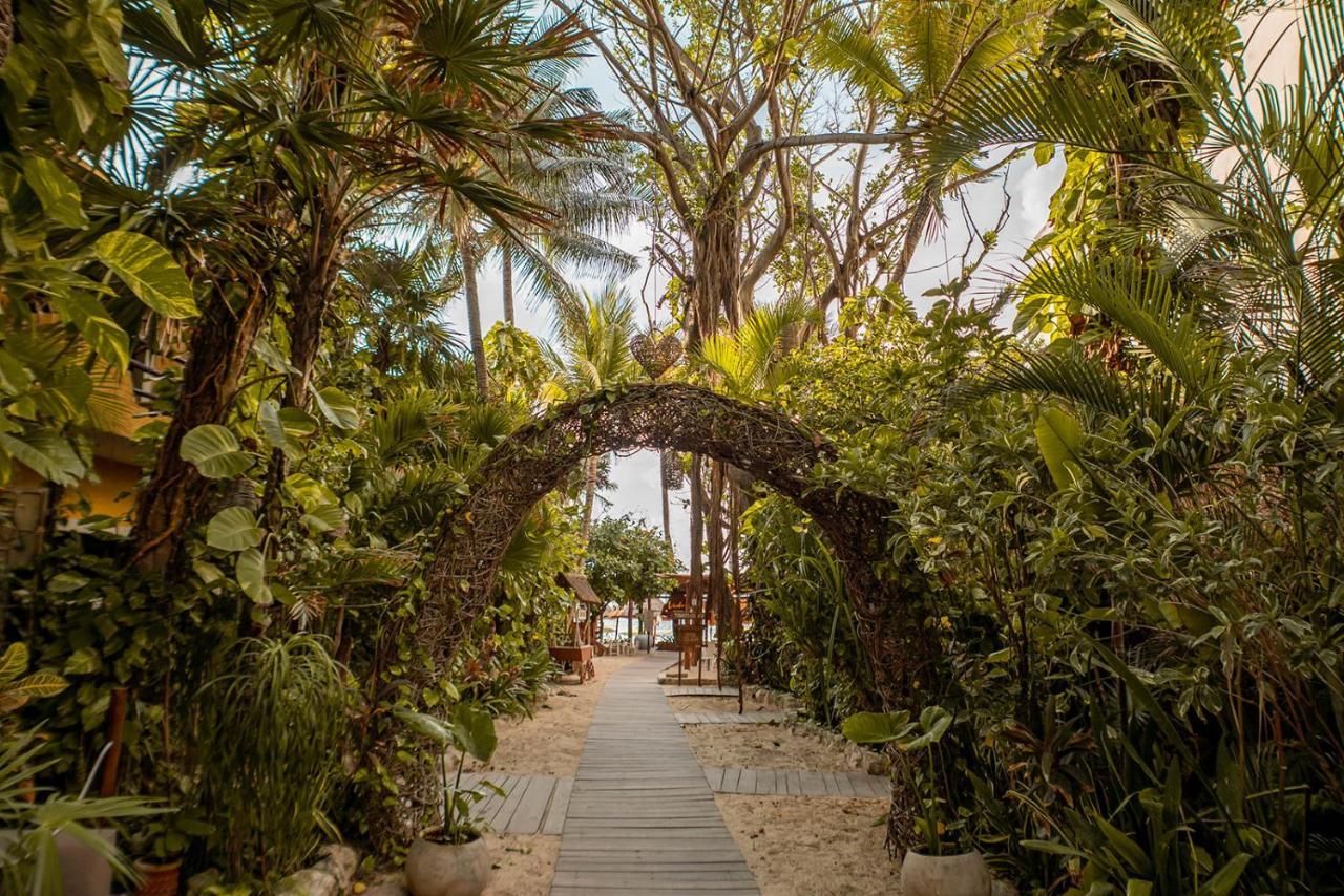 Hotel Casa Colibri Playa del Carmen Dış mekan fotoğraf