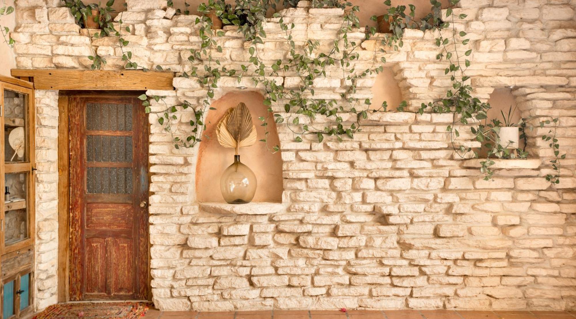 Hotel Casa Colibri Playa del Carmen Dış mekan fotoğraf