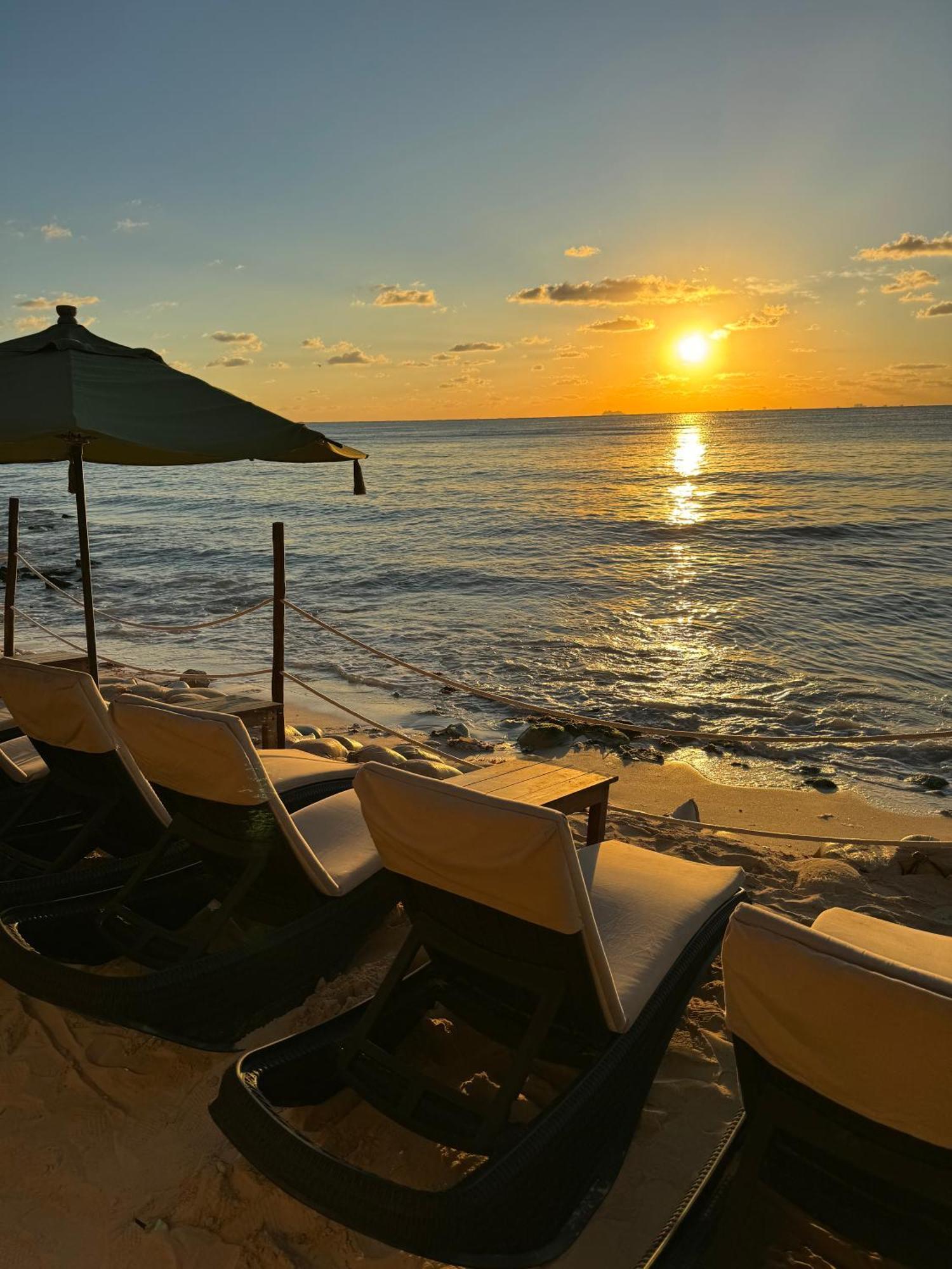 Hotel Casa Colibri Playa del Carmen Dış mekan fotoğraf