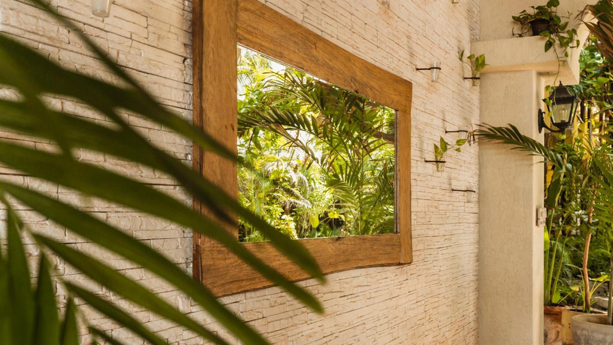 Hotel Casa Colibri Playa del Carmen Dış mekan fotoğraf