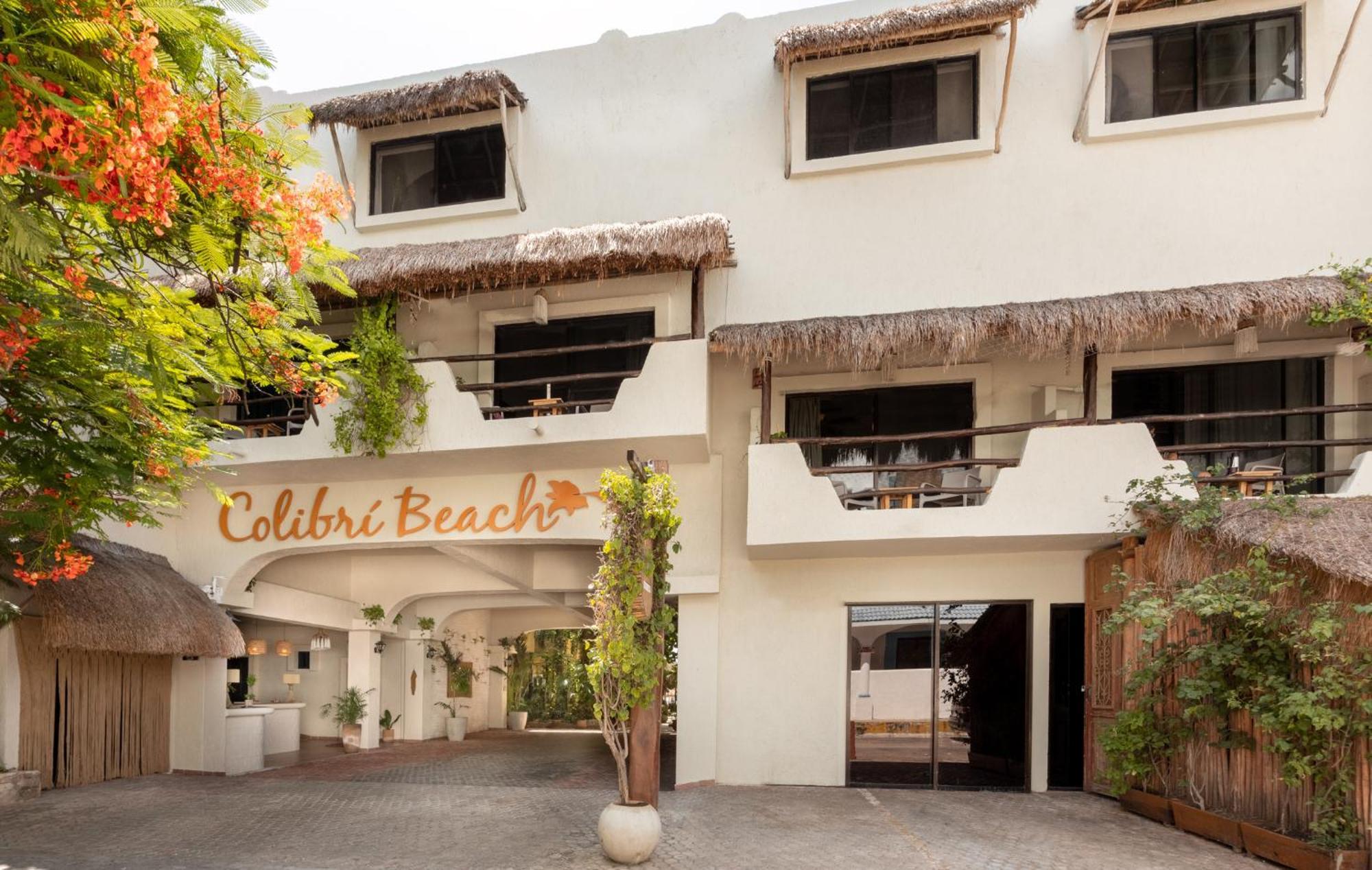 Hotel Casa Colibri Playa del Carmen Dış mekan fotoğraf